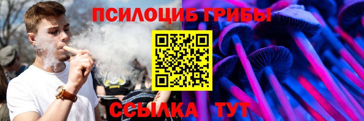 Балашов  Галлюциногенные грибы Cubensis  купить закладку  Галлюциногенные грибы мухоморы  Вход с VPN 